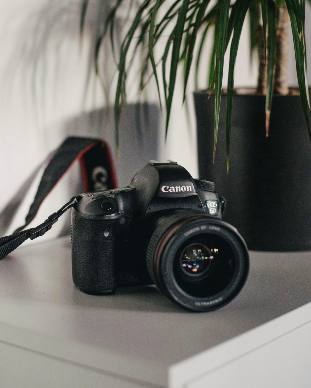 Best Camera Stores in Downtown Toronto You Should&nbsp;Know