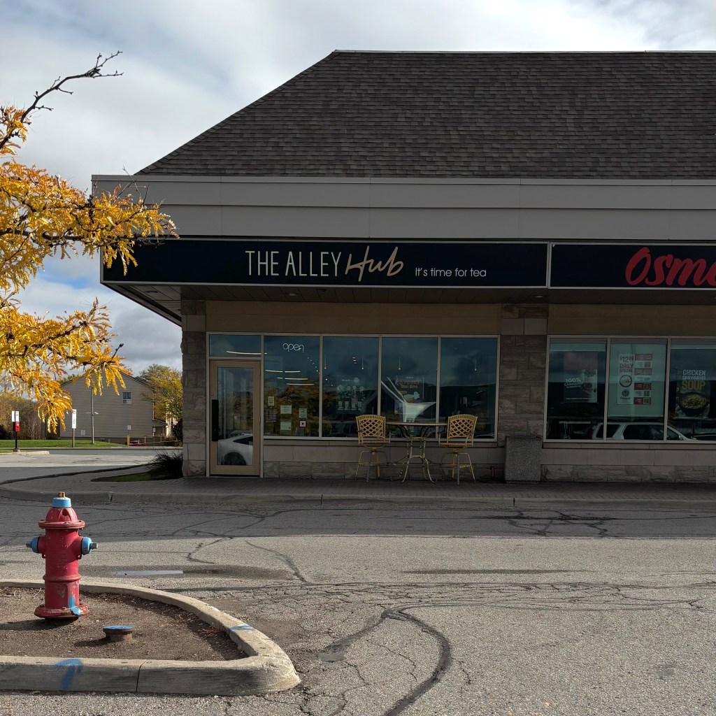 THE ALLEY HUB Review: Richmond Hill’s Hidden Remote Work Haven